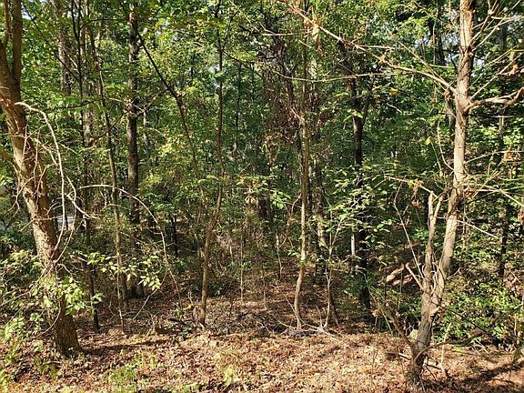 4th image of 23 Greenwood Dr SW Lot 0