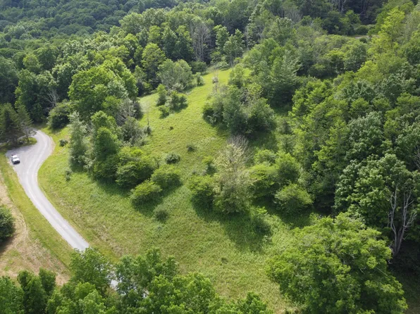 206 Sunset Pass Rd, Slatyfork, WV 26291
