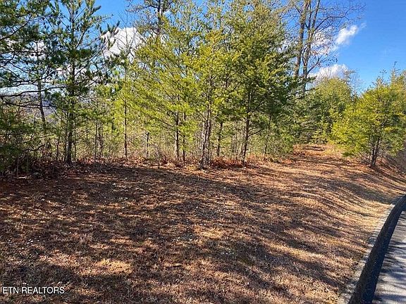 3rd image of 1824 Pinestand Ridge Way