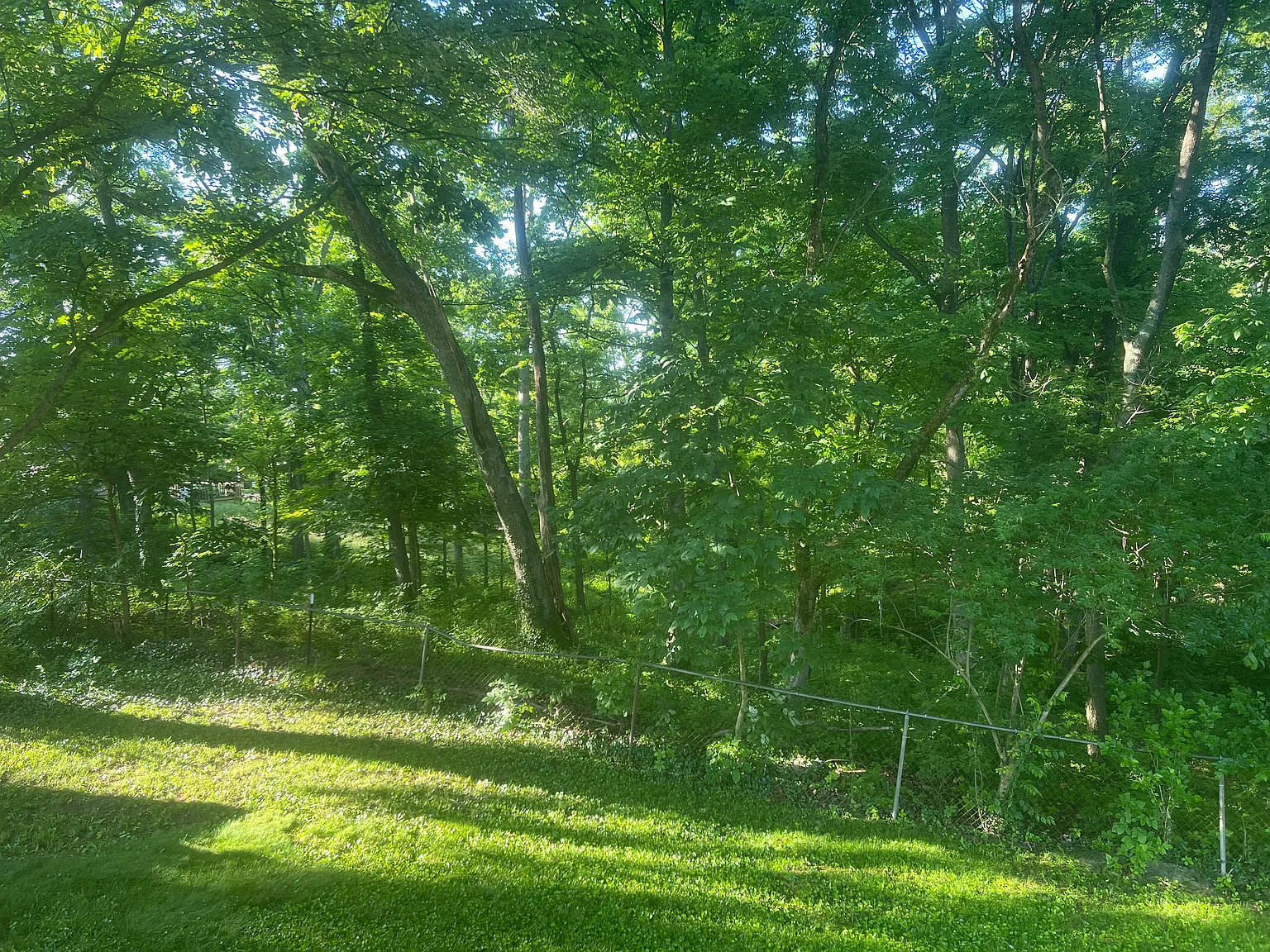 3 bed, 1300 sqft, $2,200 — Photo 2
