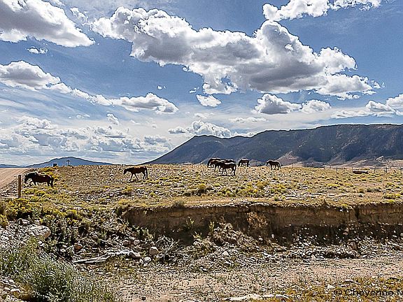 5th image of Township Road 91 Wild Horse Rnch