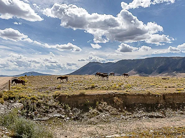 Township Road 91 Wild Horse Rnch, Laramie, WY 82070