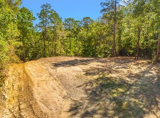 403 County Road 51, Jasper, TX 75951