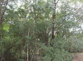 Chicago Ave, Orange City, FL 32763