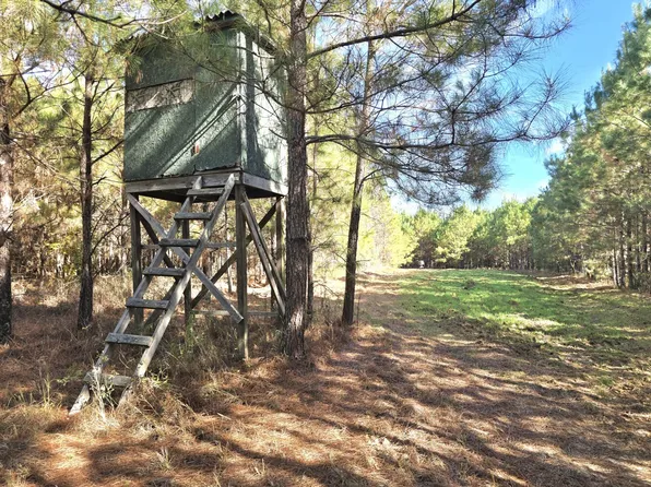 1228 River Rd, Ariton, AL 36311