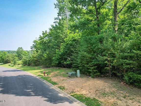 2nd image of LOT 36 Deer Chase Trl