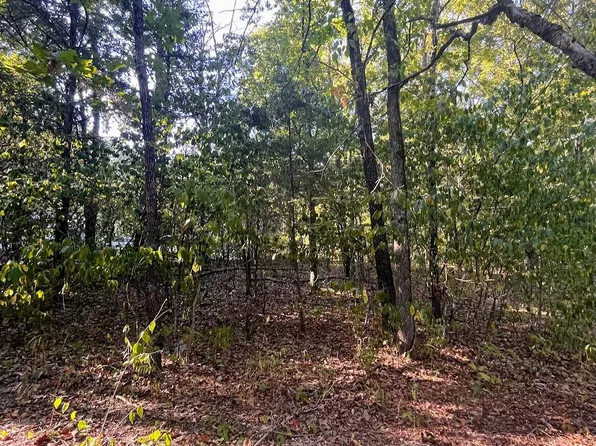 000 Hickory Avenue Lot 15, Merriam Woods, MO 65740