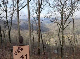686 High Mountain Vw, Bryson City, NC 28713