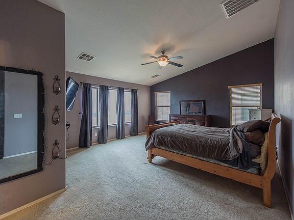 Vaulted Ceilings in Master Bedroom