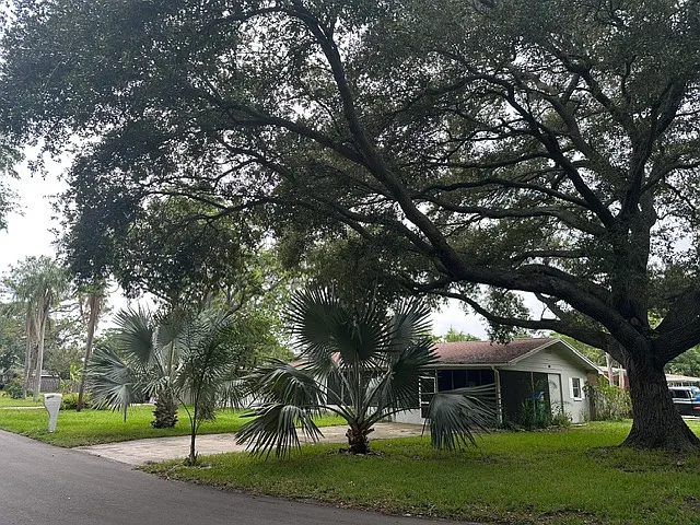 2030 Healy Dr — Photo 13