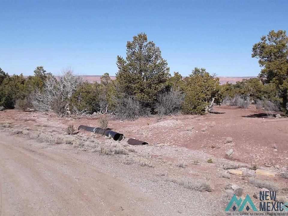 1st image of Birch Rd
