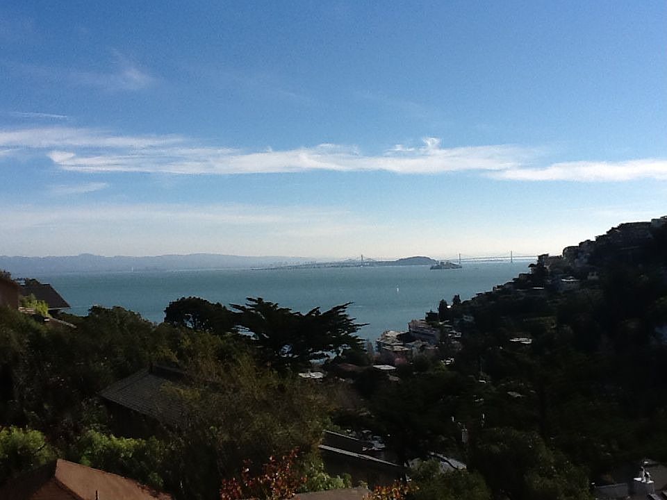 View from dining room