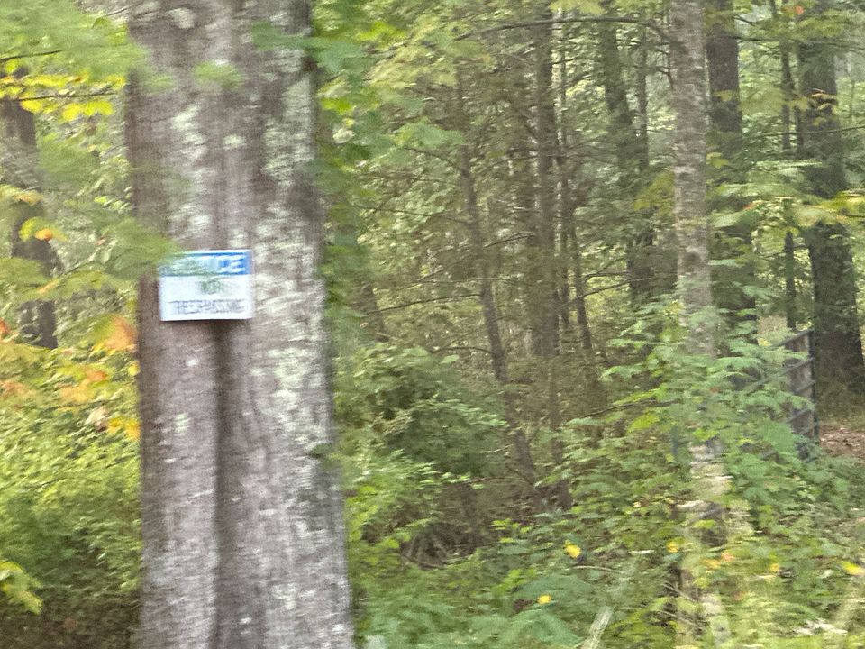 2nd image of 3682 Laurel Fork Rd