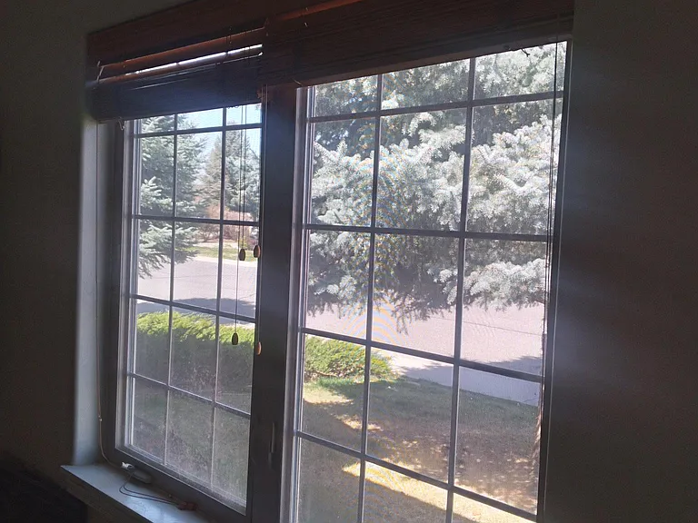 Bed Window