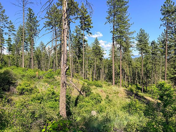 3rd image of 2008 Summit Valley Rd