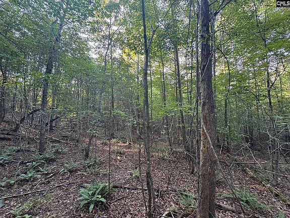 5th image of Shaw Rd