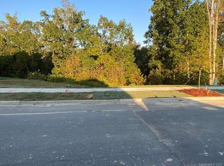17431 Summers Walk Blvd, Davidson, NC 28036