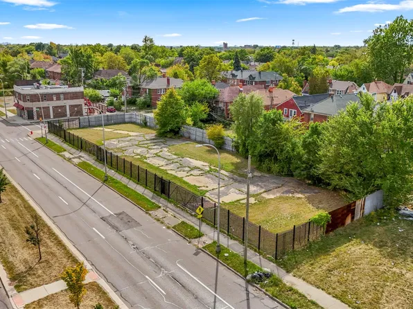 13145 Livernois Ave, Detroit, MI 48238