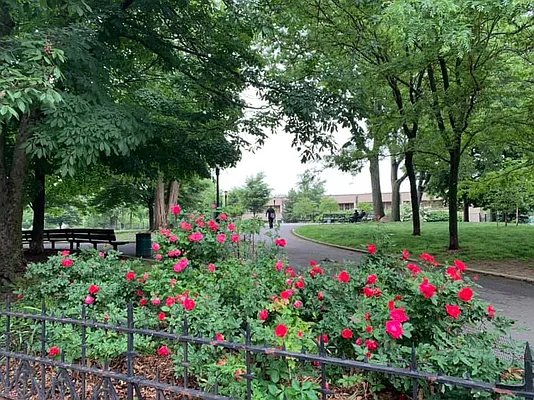 Rented by Compass | media 16