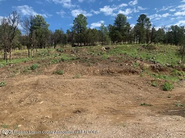 124 Buena Vista Dr, Alto, NM 88312