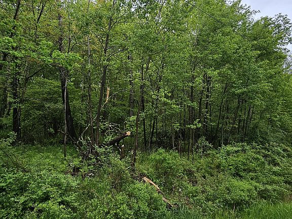 5th image of LOT 32.7 State Route 17b