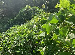 228 Society Knob Rd, Ragland, AL 35131