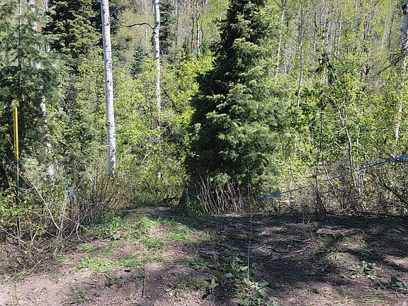 5th image of 819 N Fork Rd