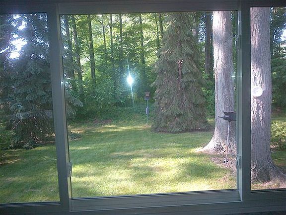 View out family room new window