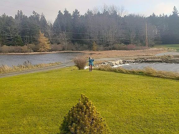 Laundry room view
