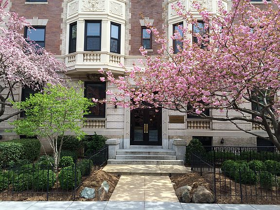 front garden in Spring