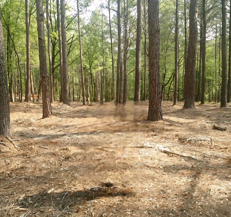 1st image of LOT 63 Harbor Point Rd