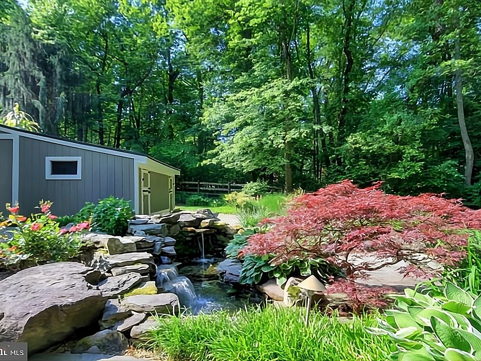 Backyard on a bright sunny day.