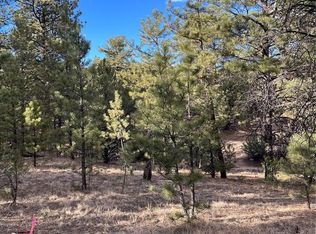 Q Path, Cotopaxi, CO 81223