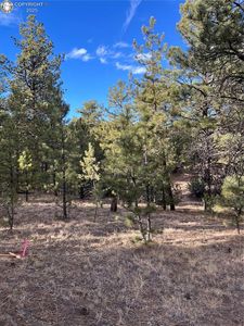 Q Path, Cotopaxi, CO, 81223
