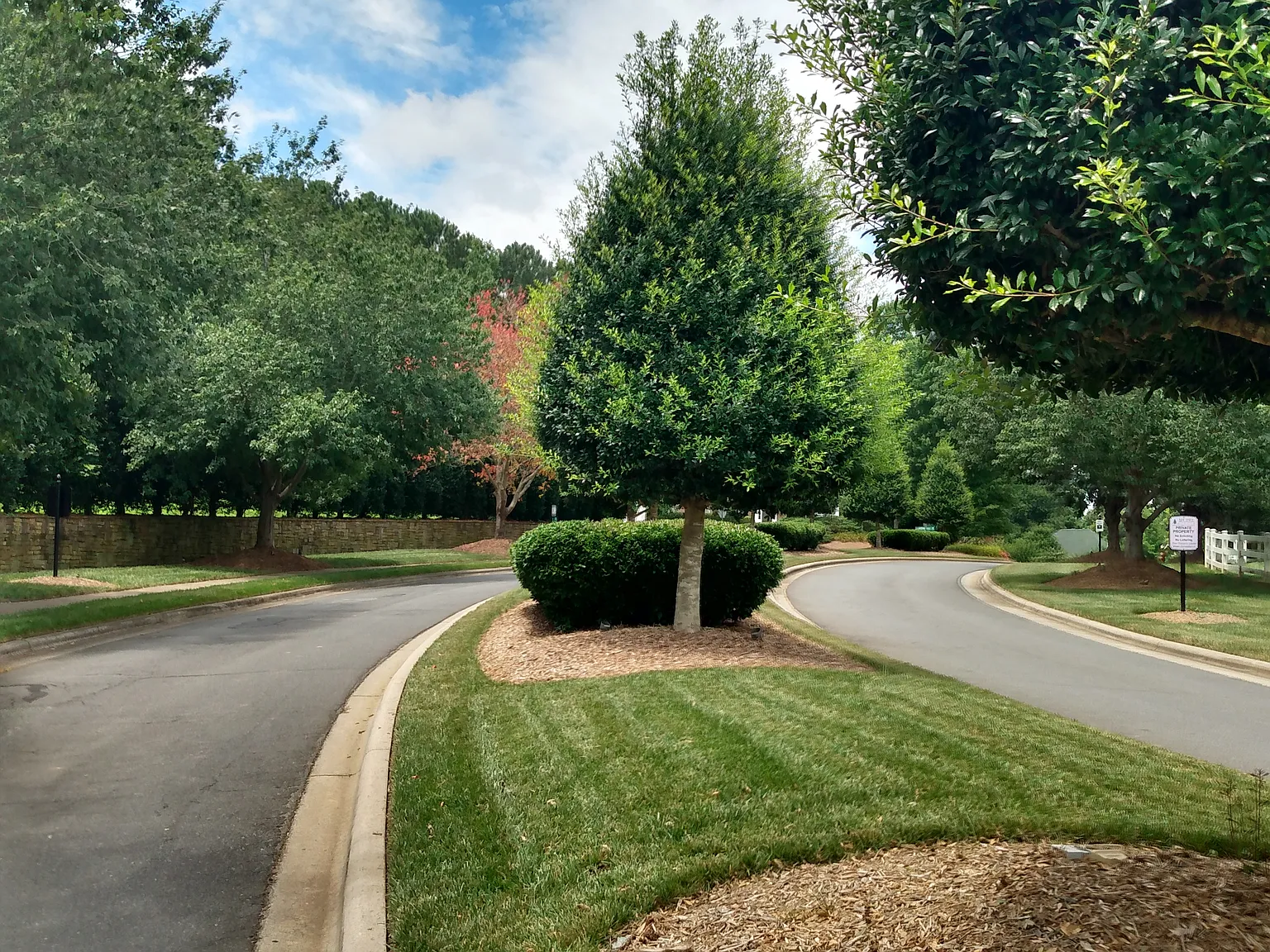 Mountain Park Dr, Charlotte — Photo 4