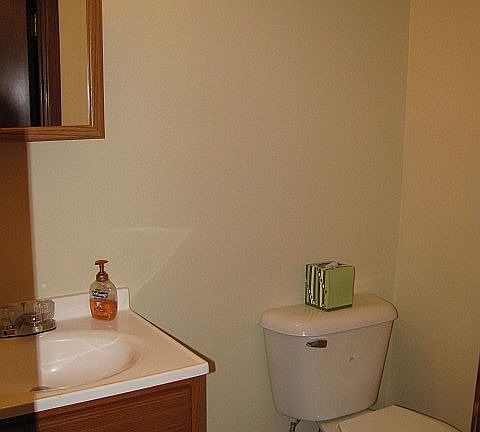 Lower level half bath, new vanity, sink, commode, vinyl flooring, plumbing and