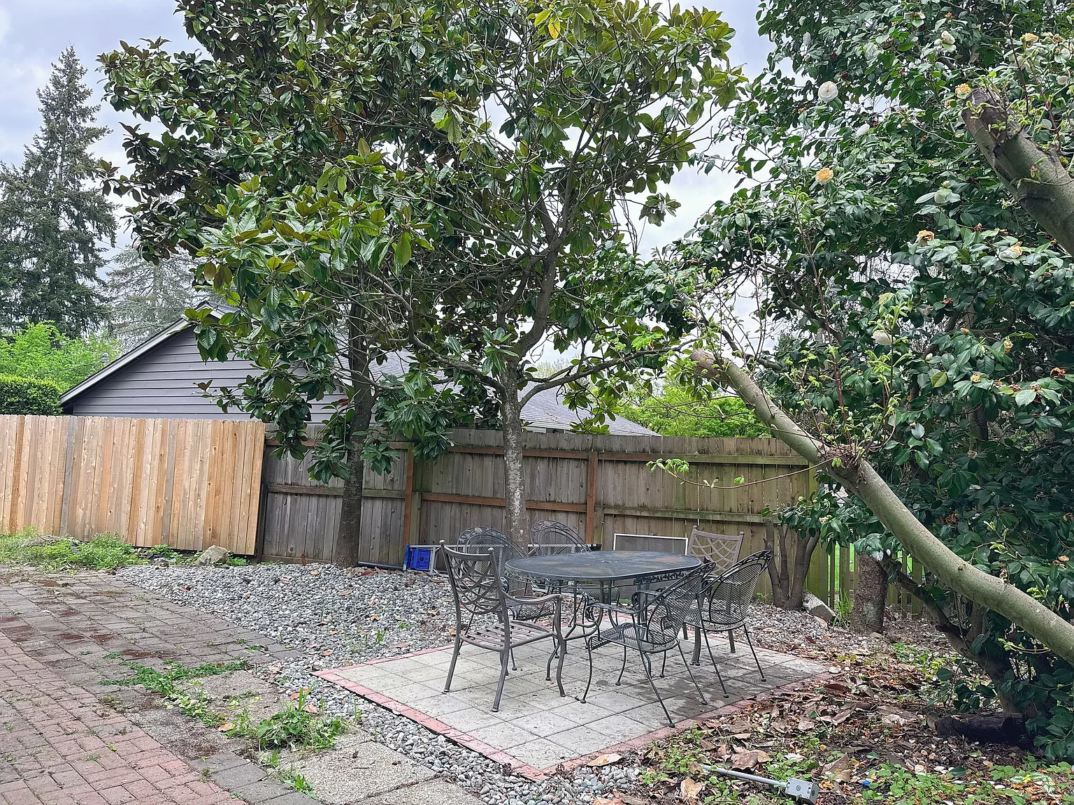 1 bed, 550 sqft, $1,900 — Photo 2