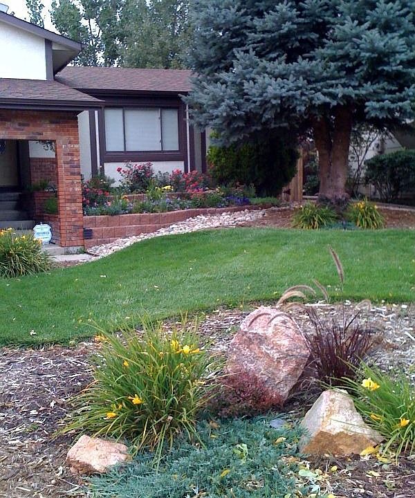 Professional landscaping front and back