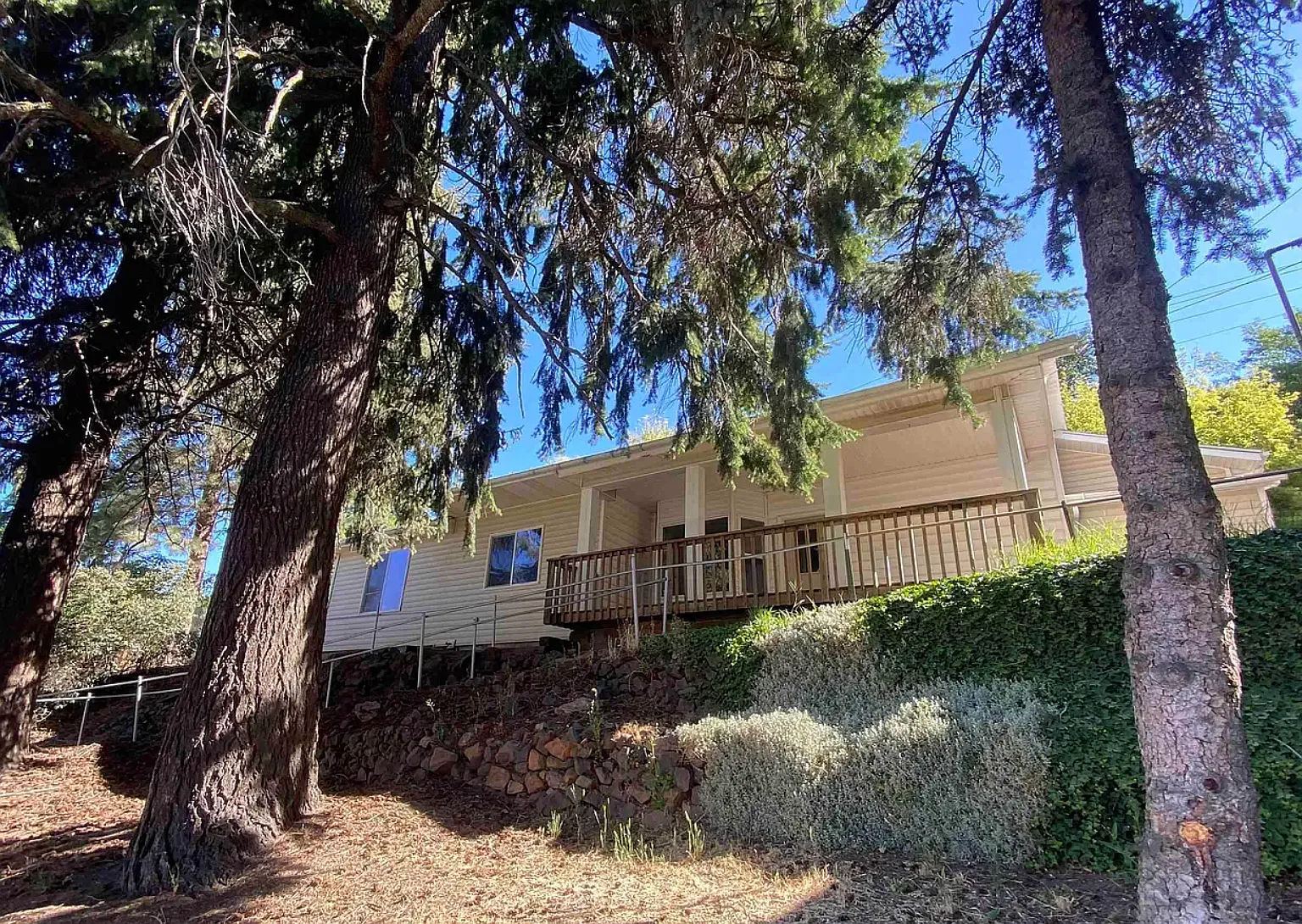1 bed, 806 sqft, $1,000 — Photo 1