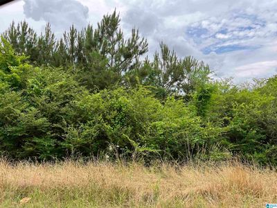 0 Stemley Bridge Rd #0, Talladega, AL, 35160