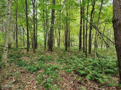 L5 Stage Road, Buskirk, NY, 12028