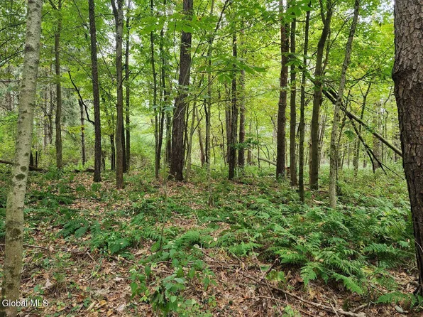 L5 Stage Road, Buskirk, NY 12028