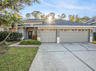 10711 Tavistock Dr, Tampa, FL 33626