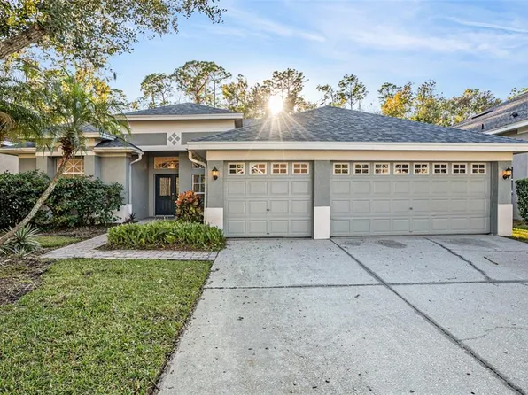 10711 Tavistock Dr, Tampa, FL 33626