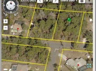 11051 Spoonbill Rd, Weeki Wachee, FL 34613