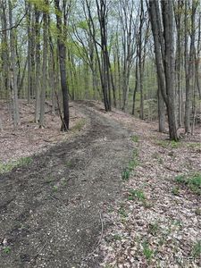 State Rd #24, Colden, NY, 14033