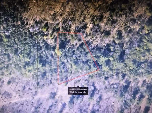 PARCEL Turtle Rd #B, Whittemore, MI 48770
