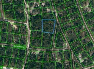 388 Blue Horizon Dr, Lake Placid, FL 33852