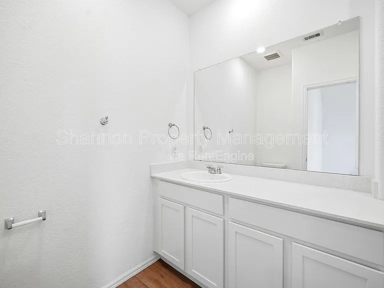 3002 Delancey Bend Way — Photo 18