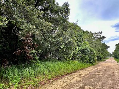 000 NW 76th Ct, Chiefland, FL, 32626